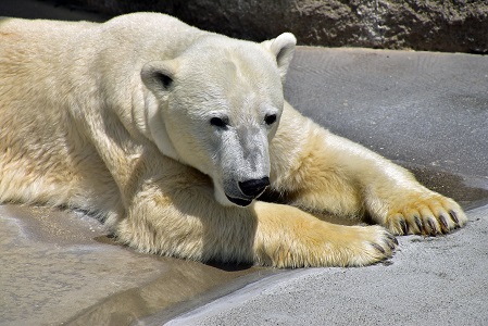 a0151913_2131270.jpg