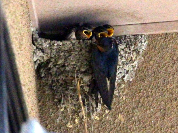 a0158613_22010873.jpg