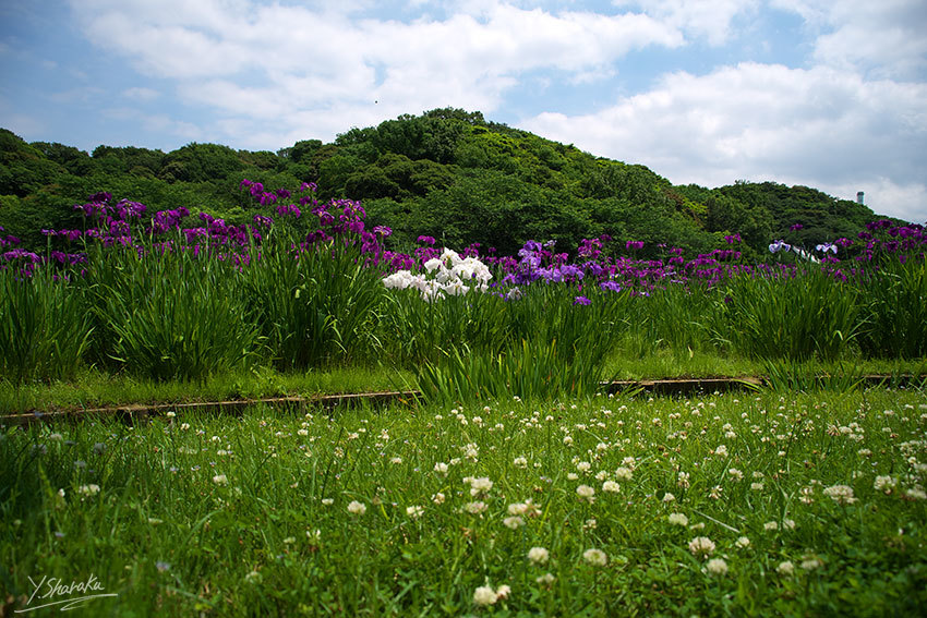 f0344614_13263347.jpg