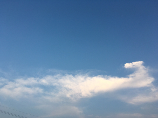 f0015517_22273004.jpg
