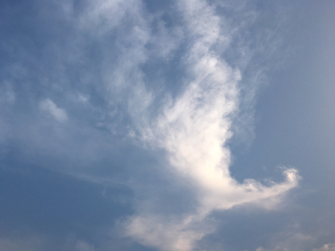 f0015517_22273099.jpg