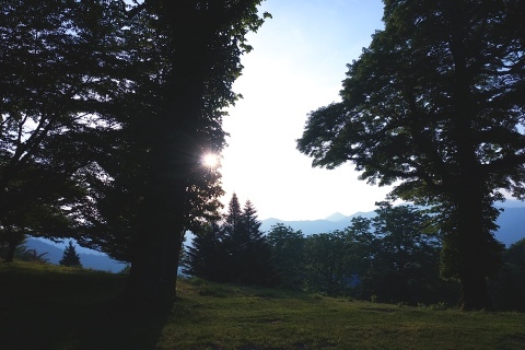 b0255623_23010614.jpg