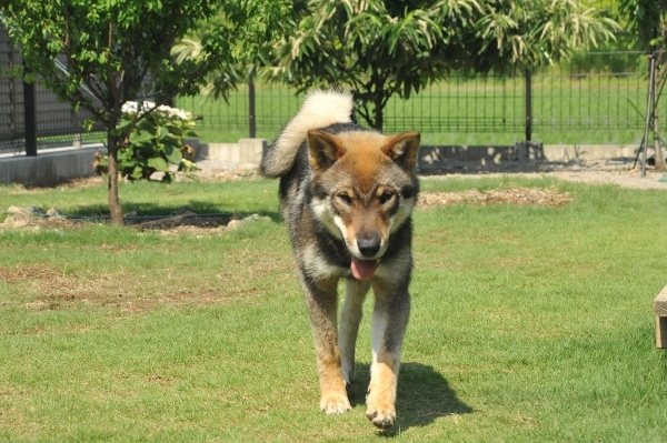 f0143123_09451161.jpg
