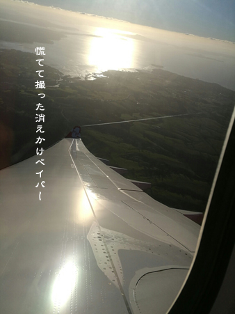 d0042827_06434053.jpg