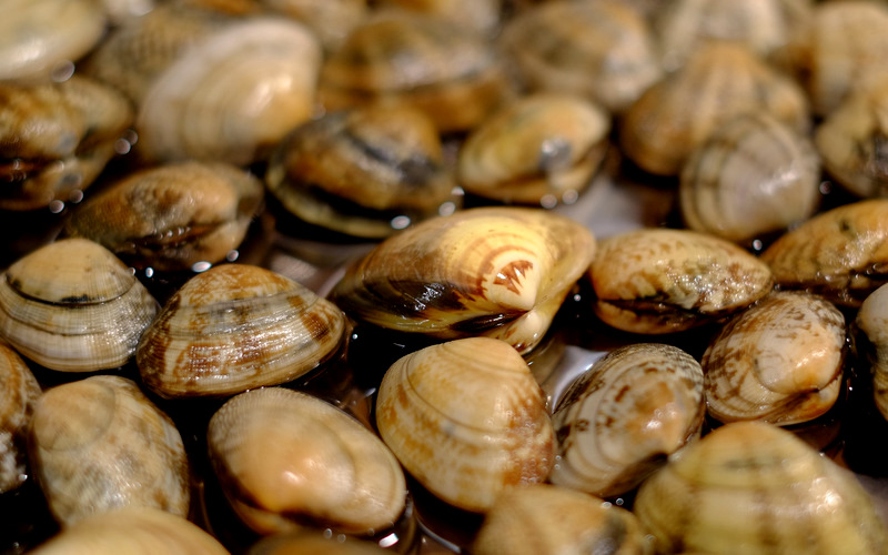 a0000029_0193100.jpg