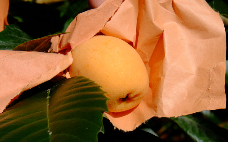 a0000029_0253239.jpg