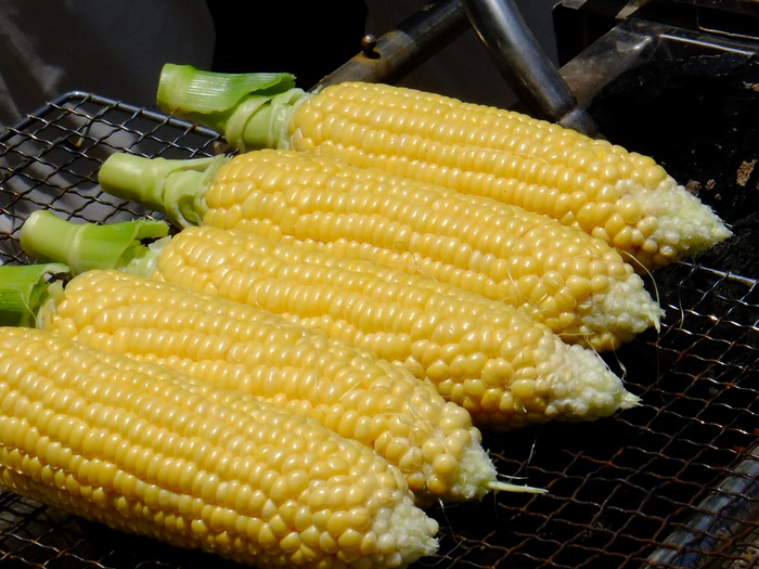 a0000029_03351100.jpg