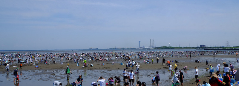 a0000029_07151.jpg