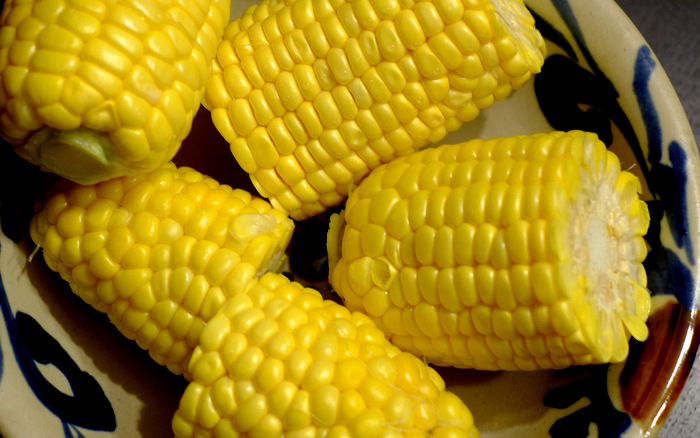 a0000029_20443158.jpg