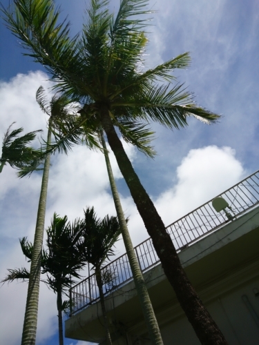 e0166032_23403728.jpg
