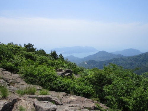 a0345833_22452868.jpg