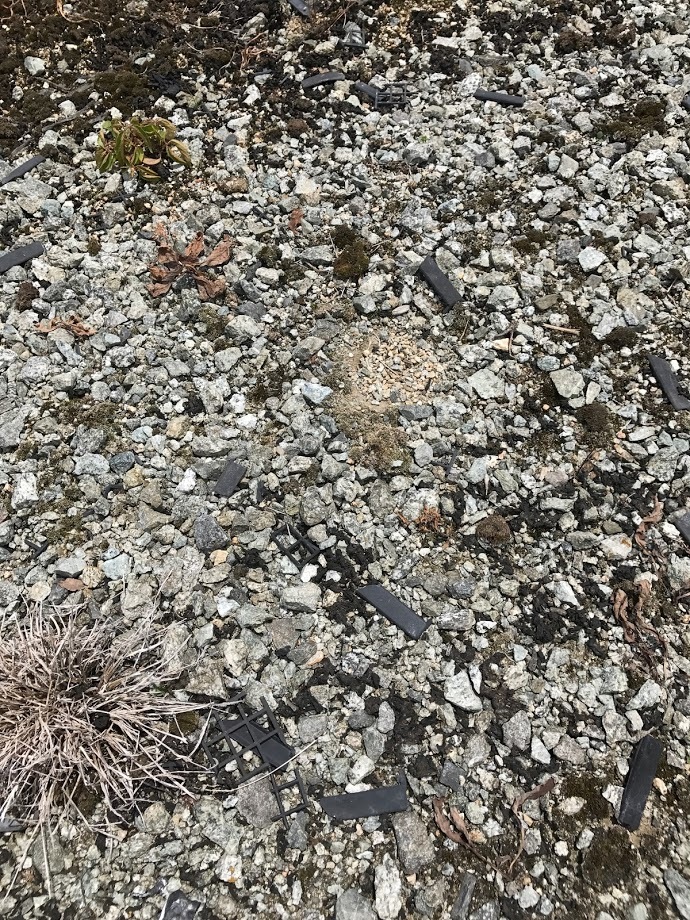 a0026235_21525645.jpg