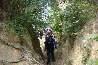 e0371039_19104364.gif