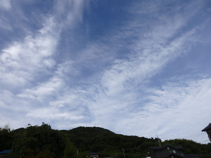 a0054240_21281382.jpg