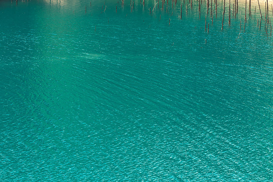 c0067040_20571843.jpg