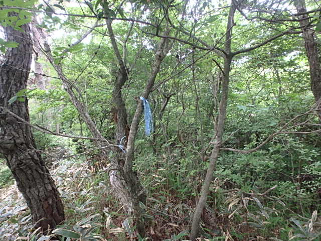 f0334143_7224844.jpg