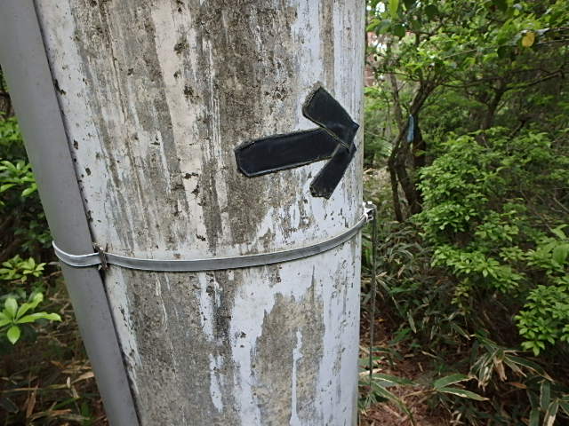f0334143_726569.jpg