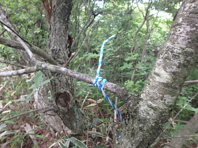 f0334143_7271862.jpg