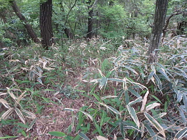 f0334143_7275235.jpg