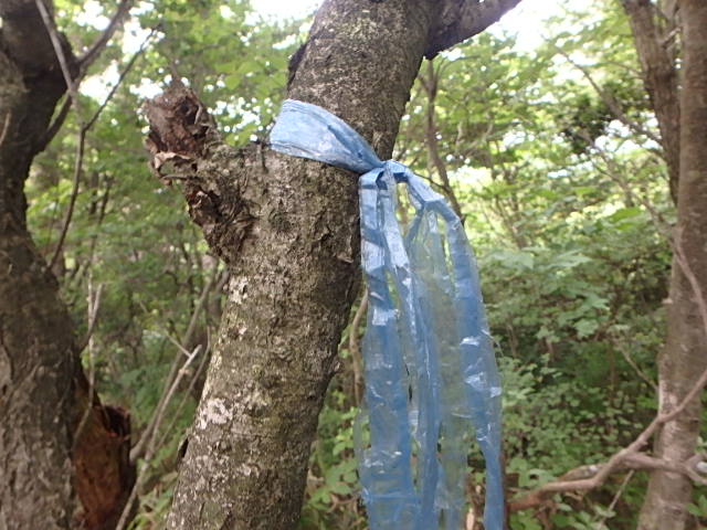 f0334143_727917.jpg