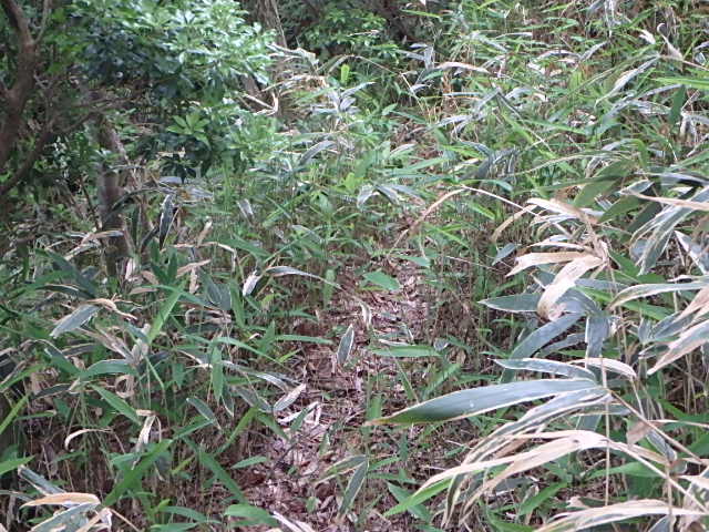 f0334143_7301079.jpg