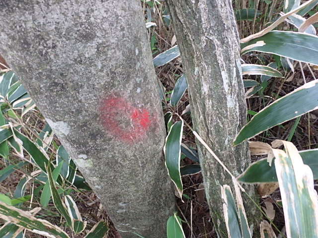 f0334143_7304319.jpg