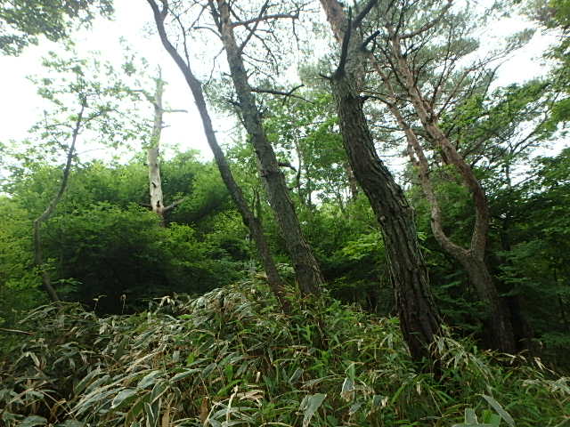 f0334143_7331270.jpg