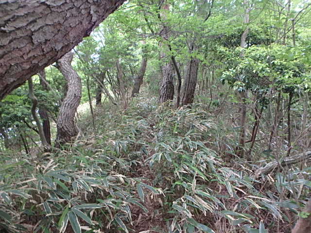 f0334143_7333919.jpg