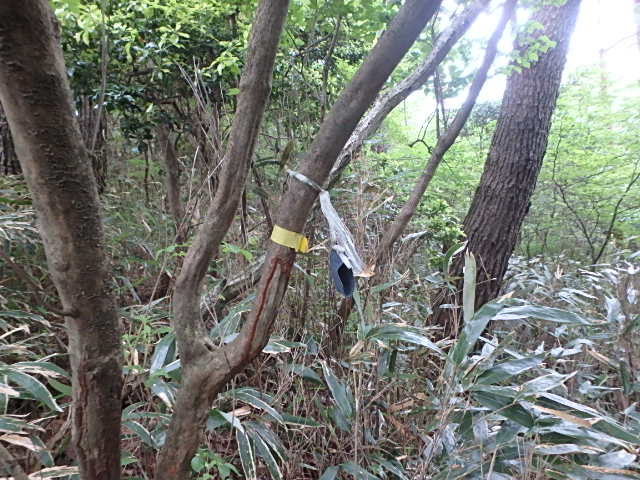 f0334143_7335052.jpg