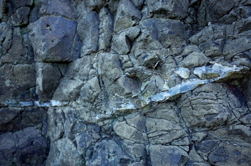 f0169147_16092385.jpg