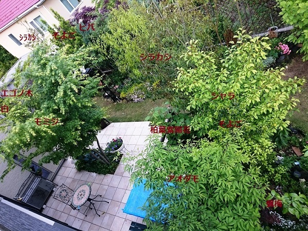 d0306248_21335077.jpg