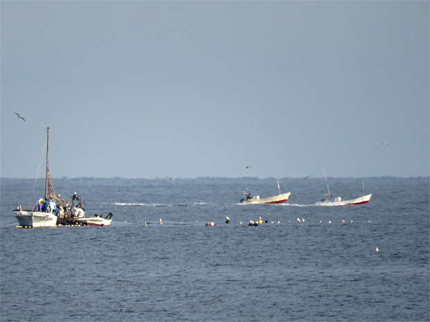 f0214649_04312848.jpg
