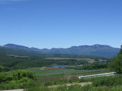 f0364455_00291464.jpg