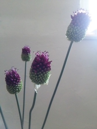 c0172261_06142237.jpg