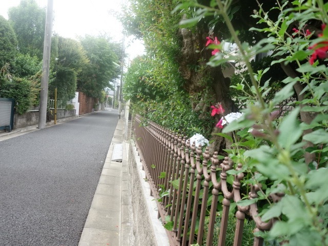 c0199462_17273585.jpg