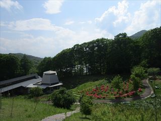 d0045362_17123632.jpg