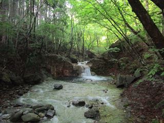 d0045362_17131880.jpg