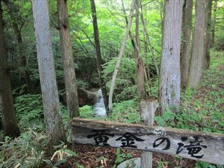 d0045362_17133418.jpg