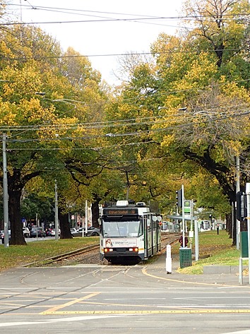 c0022164_811235.jpg
