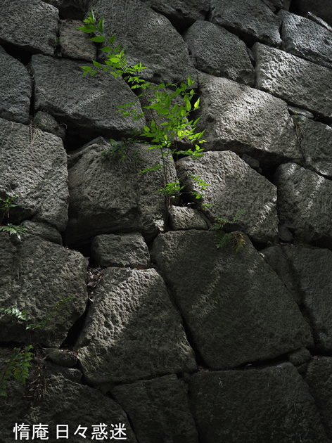 e0346064_18042579.gif