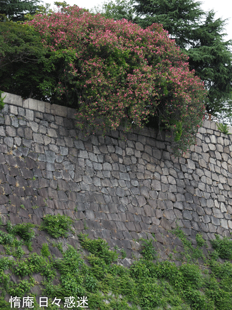 e0346064_18042612.gif