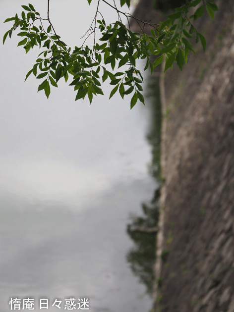 e0346064_18042637.gif