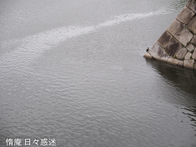e0346064_18042674.gif