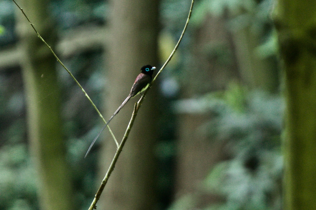 e0071967_14532353.jpg