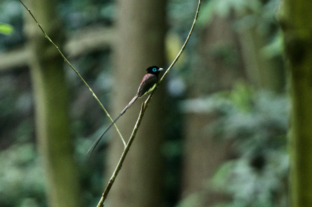 e0071967_14532537.jpg