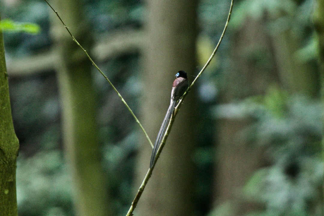 e0071967_14532830.jpg