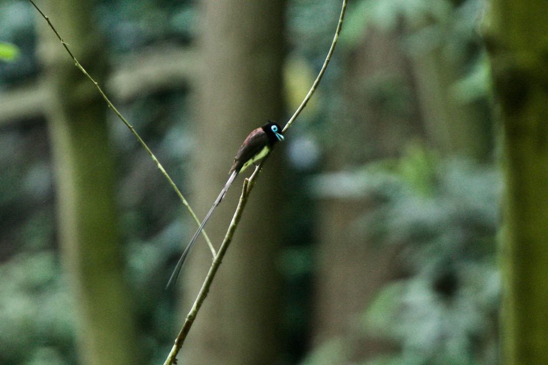 e0071967_14533092.jpg