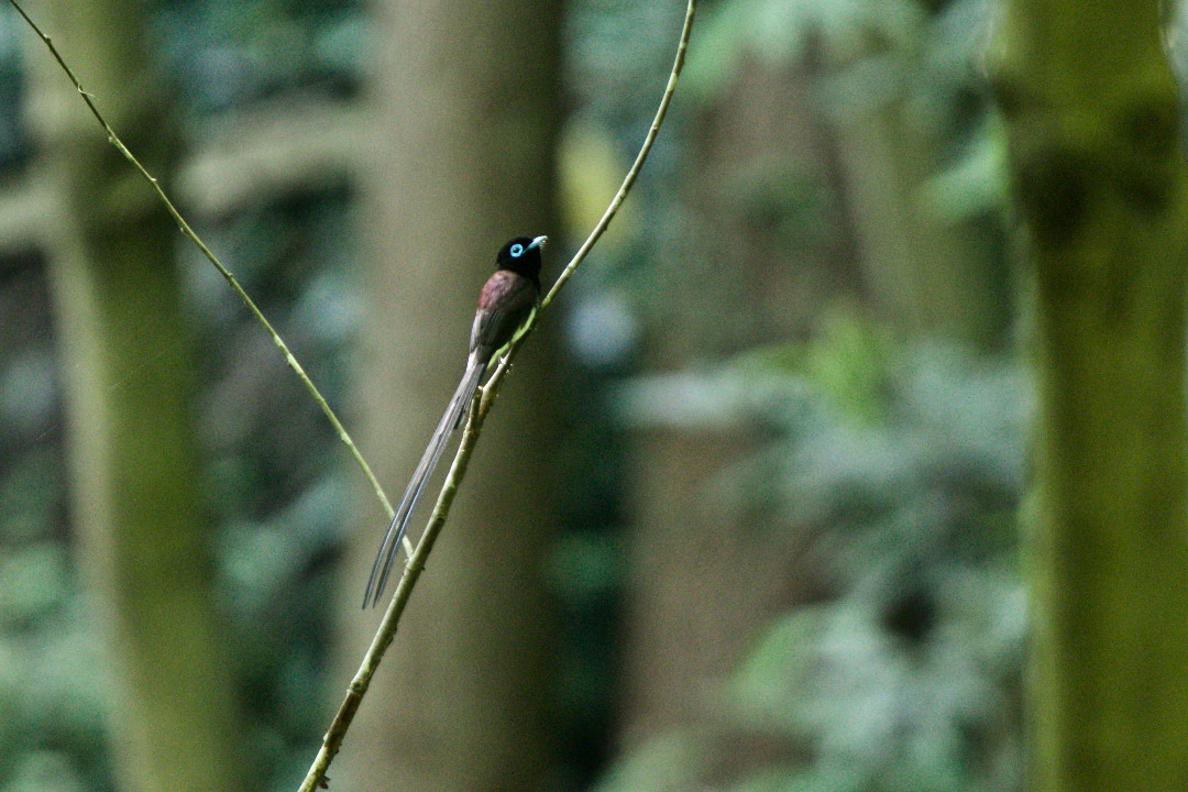 e0071967_14533254.jpg