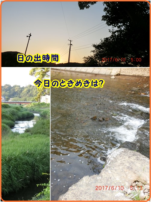 d0007071_21403164.jpg