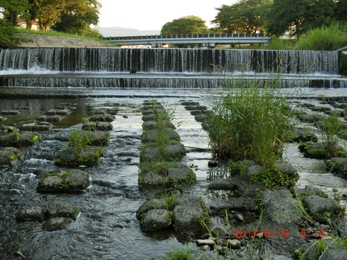 d0007071_21432978.jpg